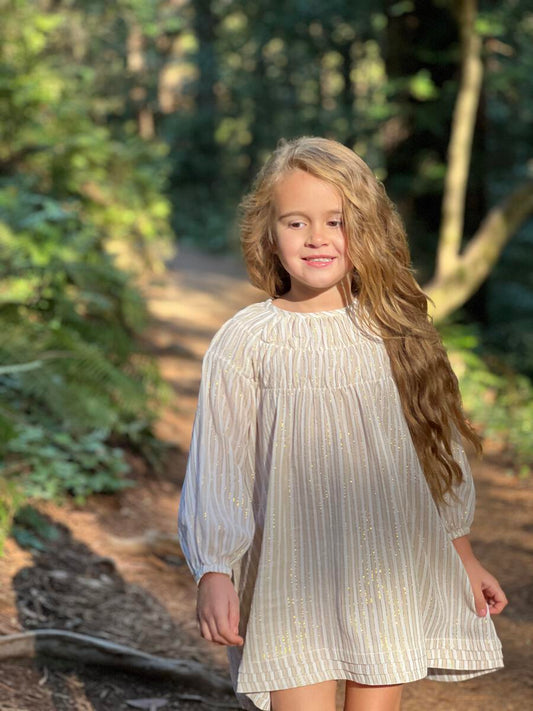 Embroidered smocked dress