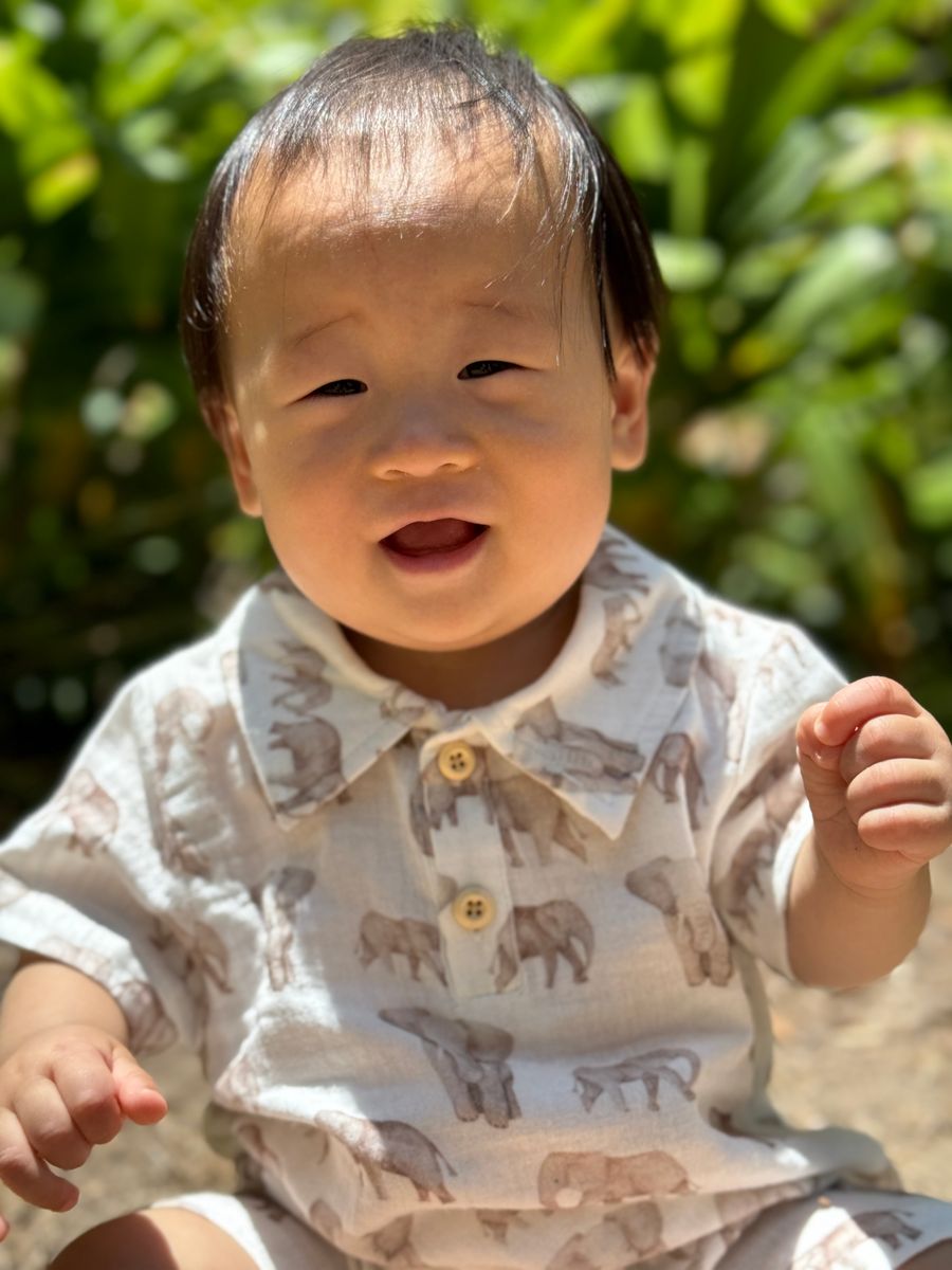 Finley Romper - Elephants