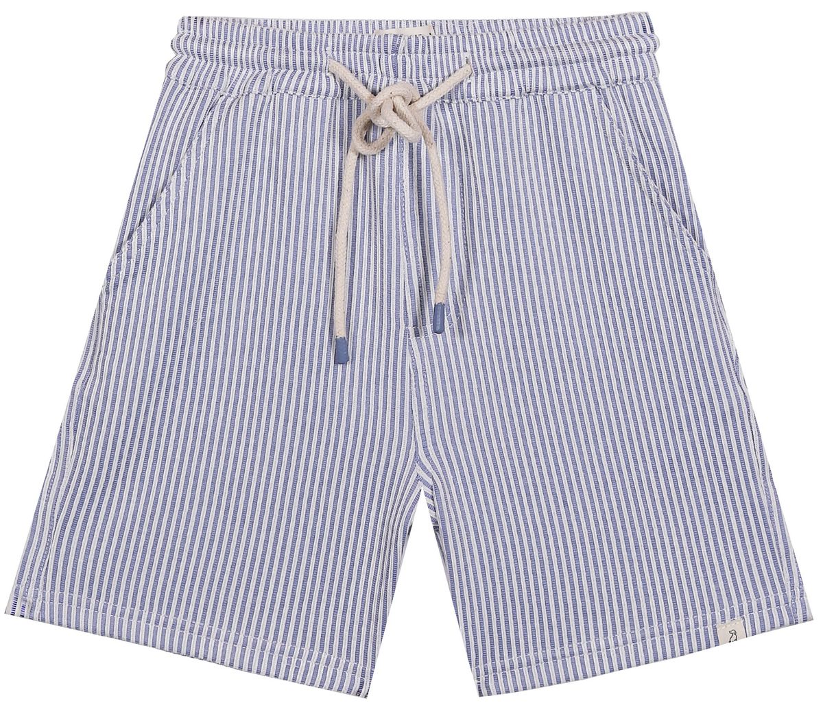 SPLISH blue seersucker swim shorts