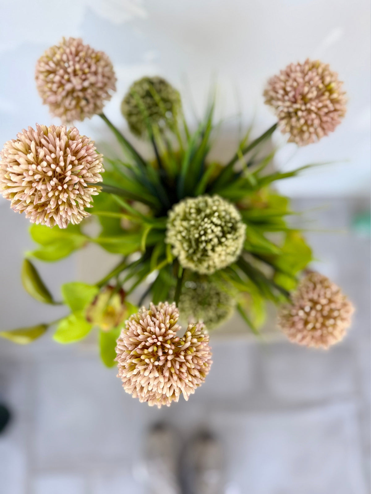 Cymbidium Orchids with Allium blooms