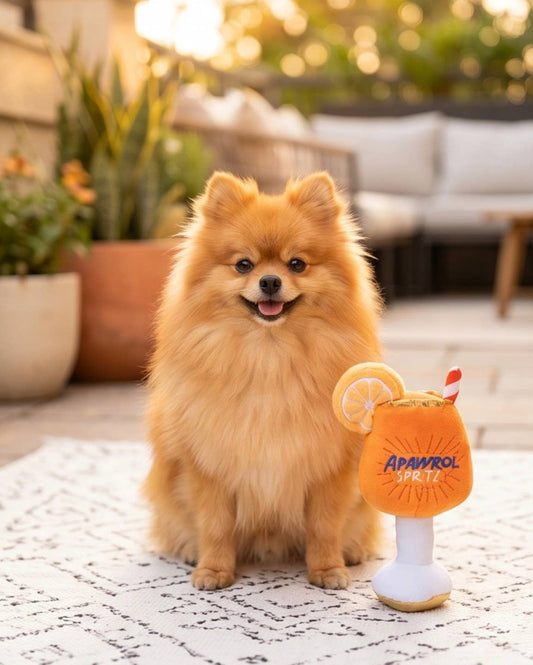 Apawrol Spritz | Squeaker Dog Toy