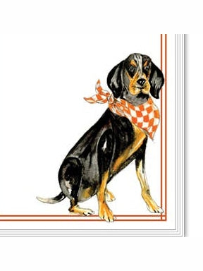 Coonhound Orange and White Bandana Skinny Notepad
