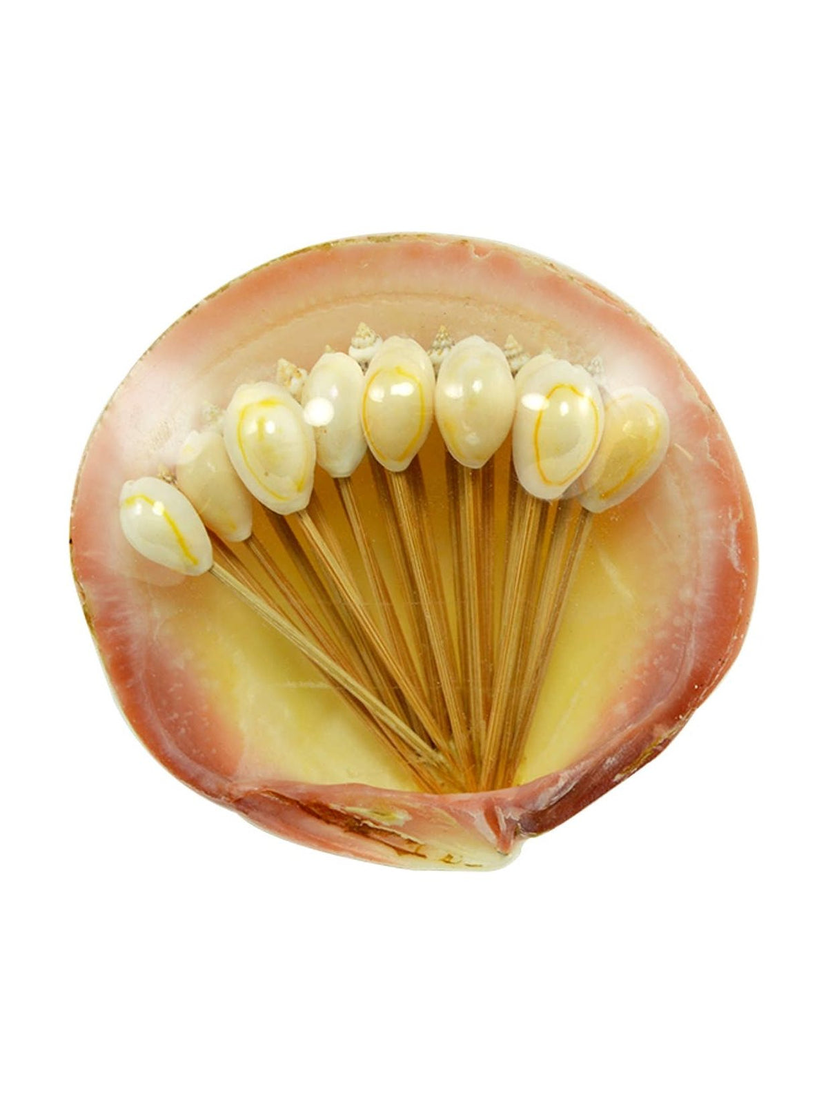 Party Picks in Clam