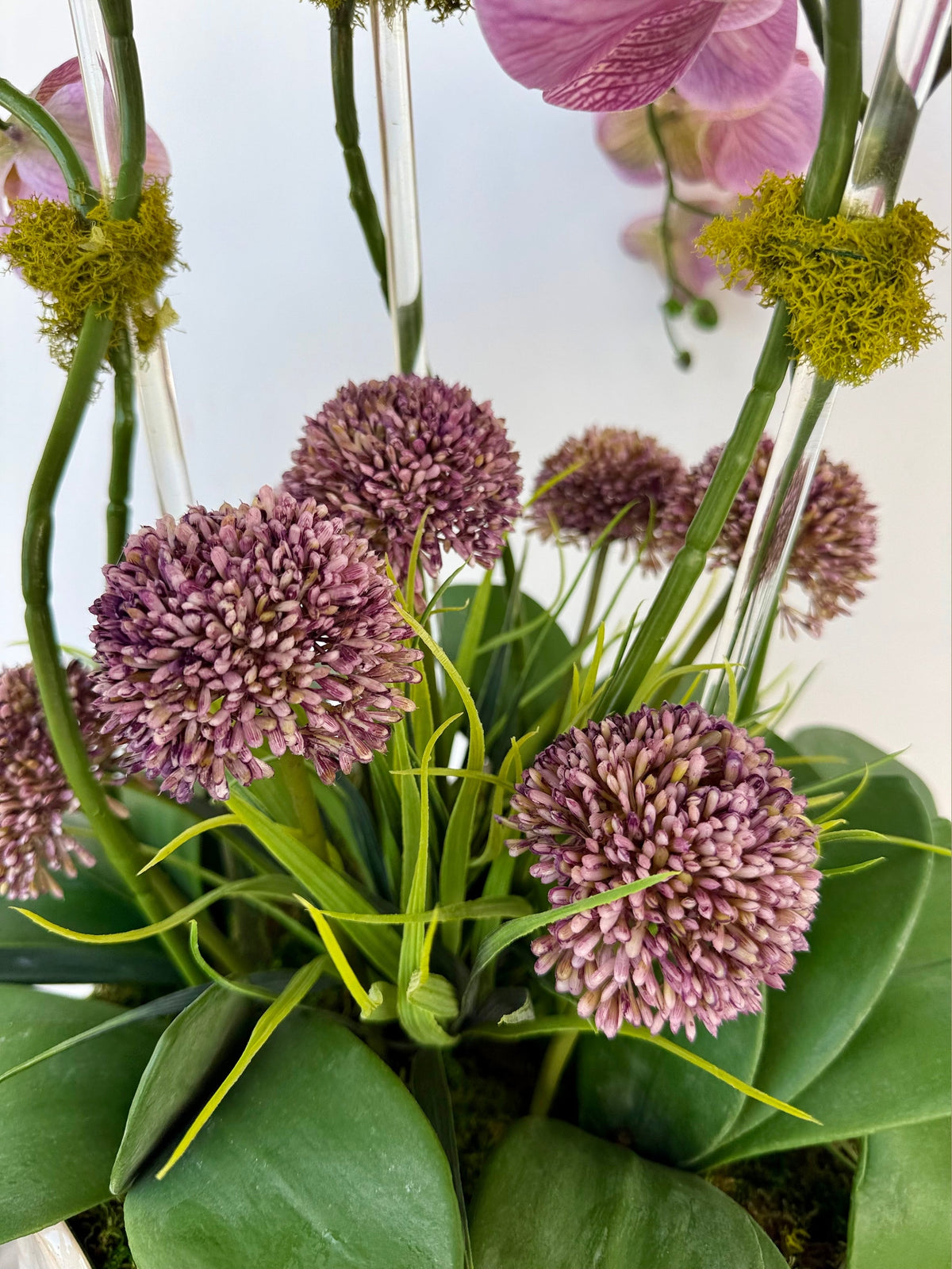 Purple Fantasy Orchid Arrangement with Allium