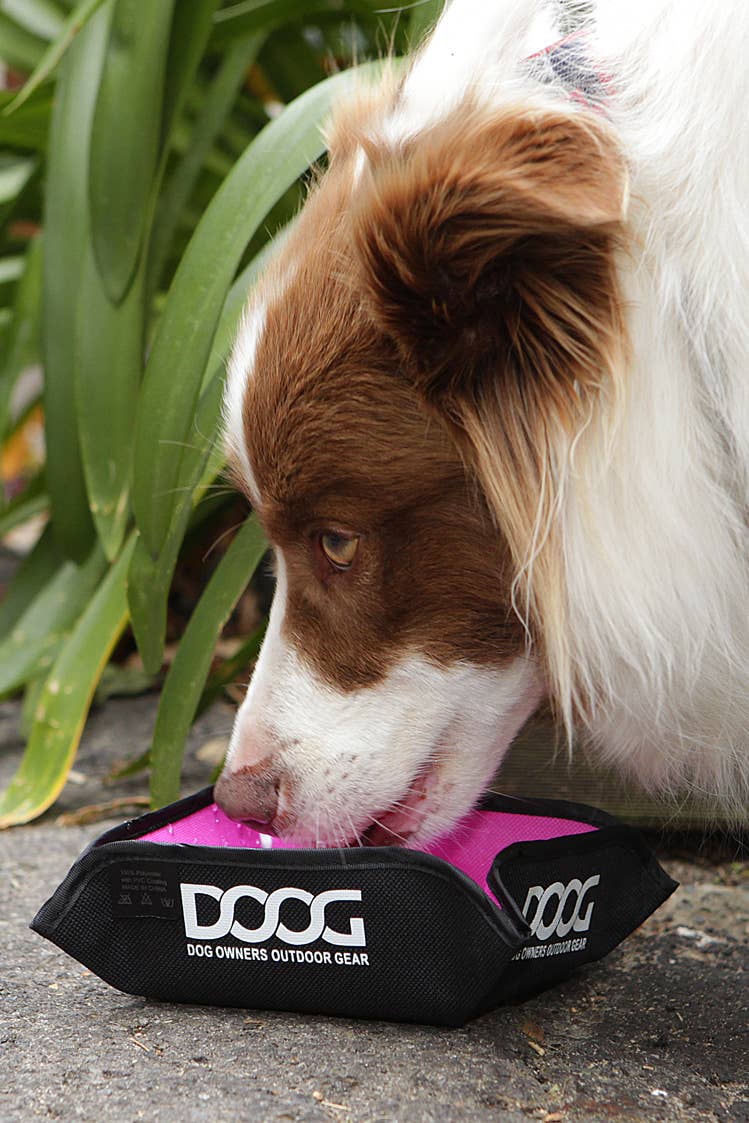 DOOG Portable Foldable Water/Bowl