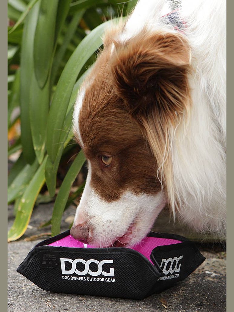 DOOG Portable Foldable Water/Bowl