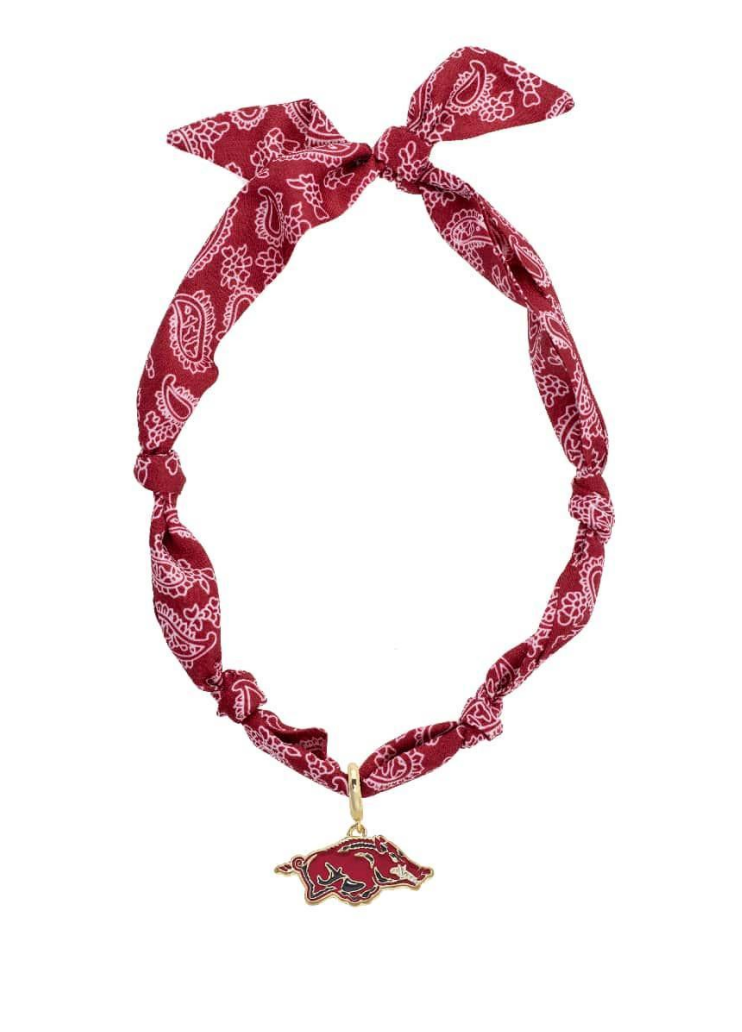 Arkansas Scarf Necklace