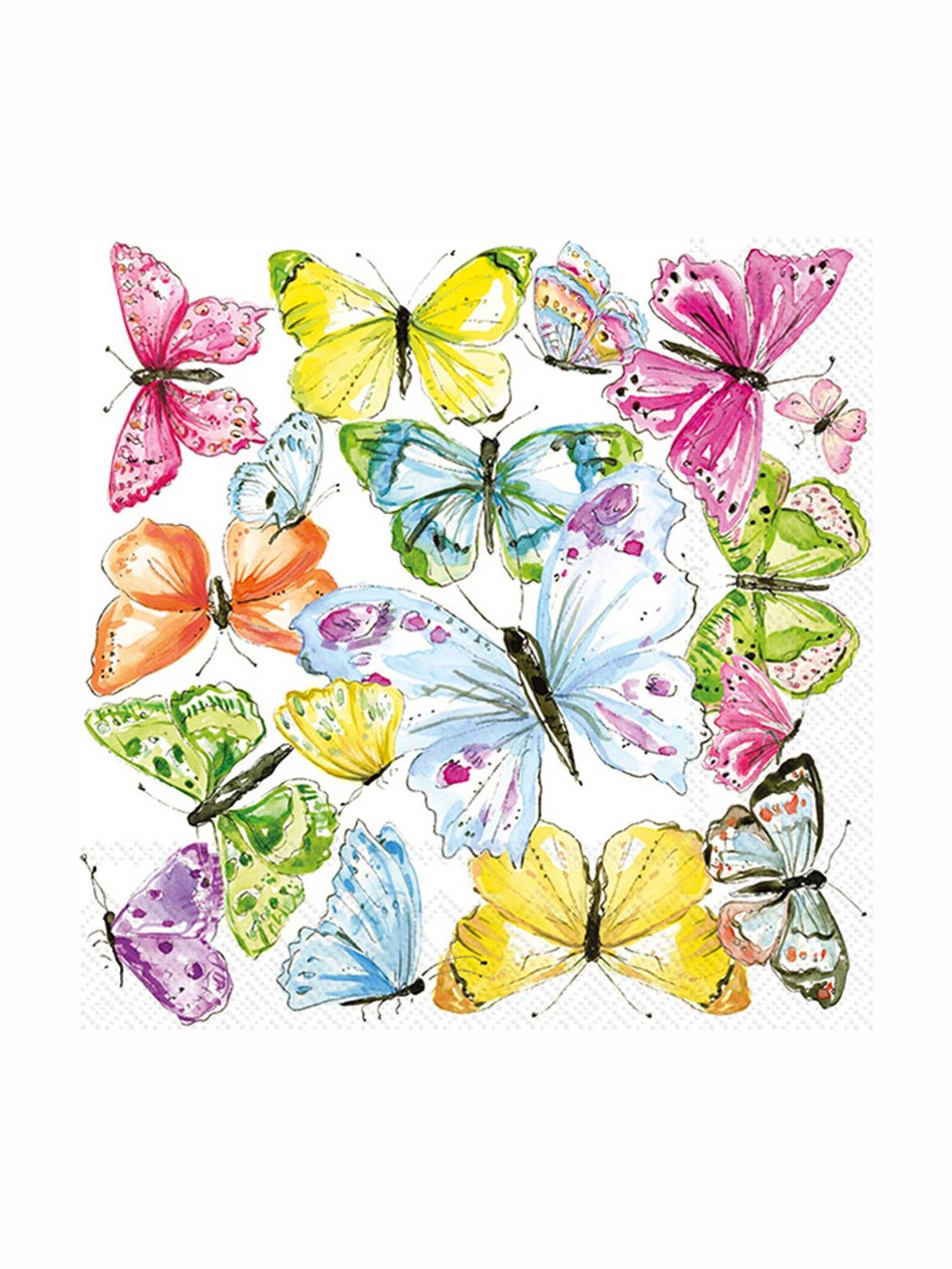 Paper Cocktail Napkins Multi Color Butterflies Rosanne Beck