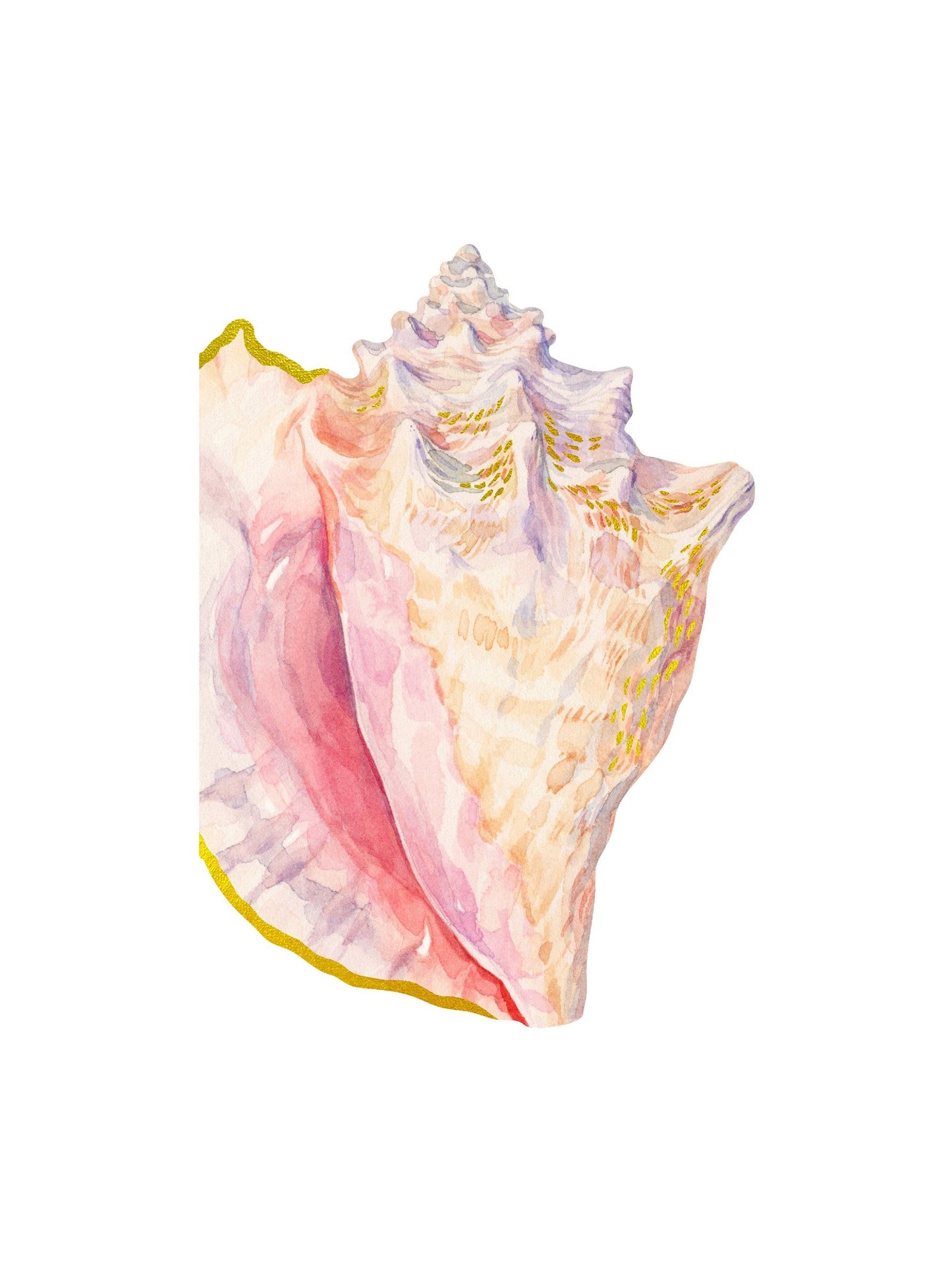 Shell Notes