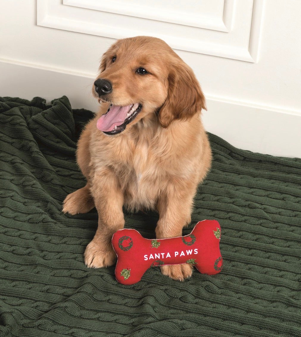 Embroidery Dog Bone Toys