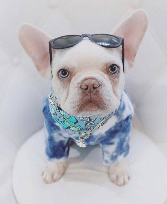 Tattoo Doodle Dog Bandana