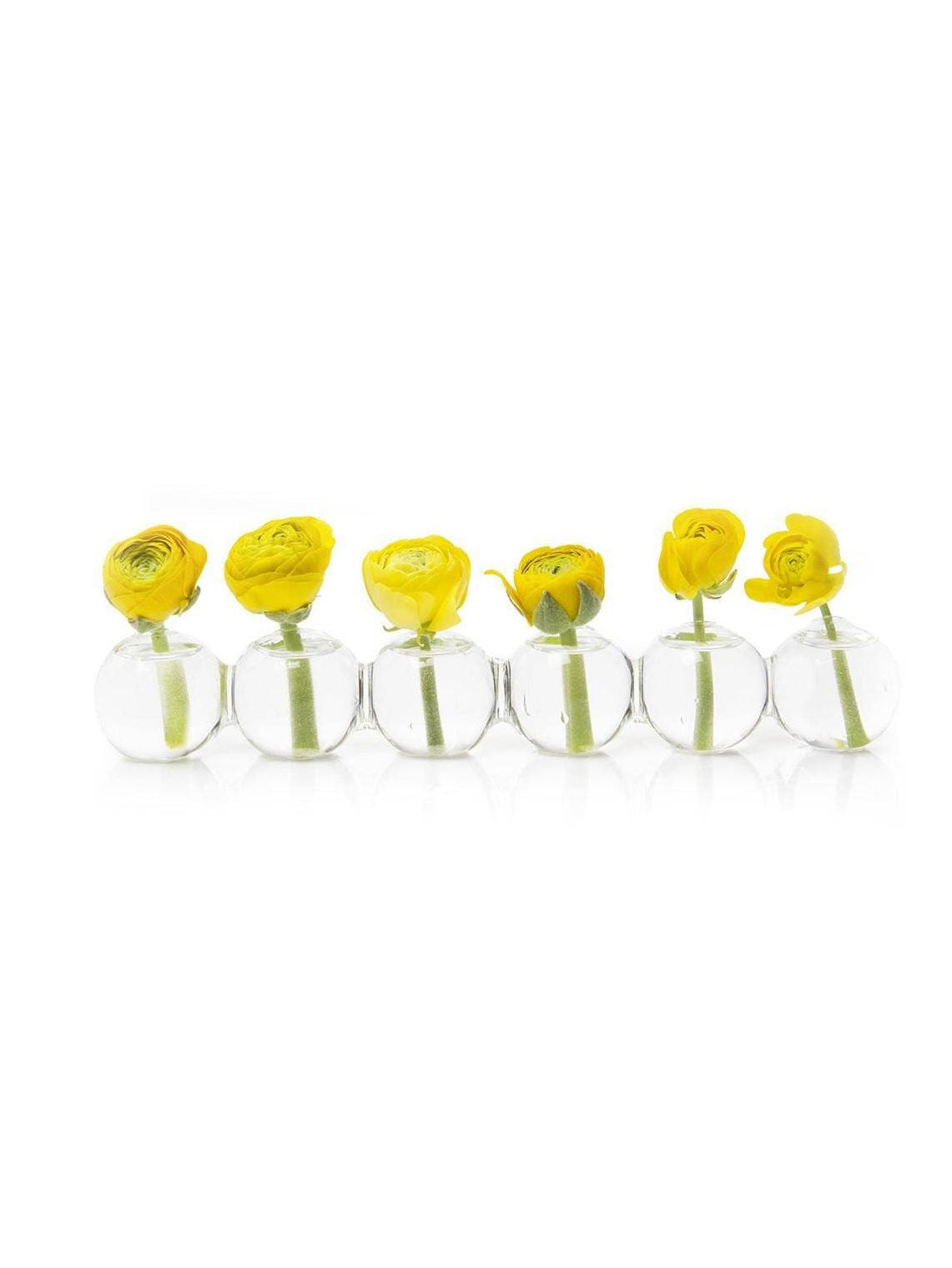 Caterpillar Bud Vase