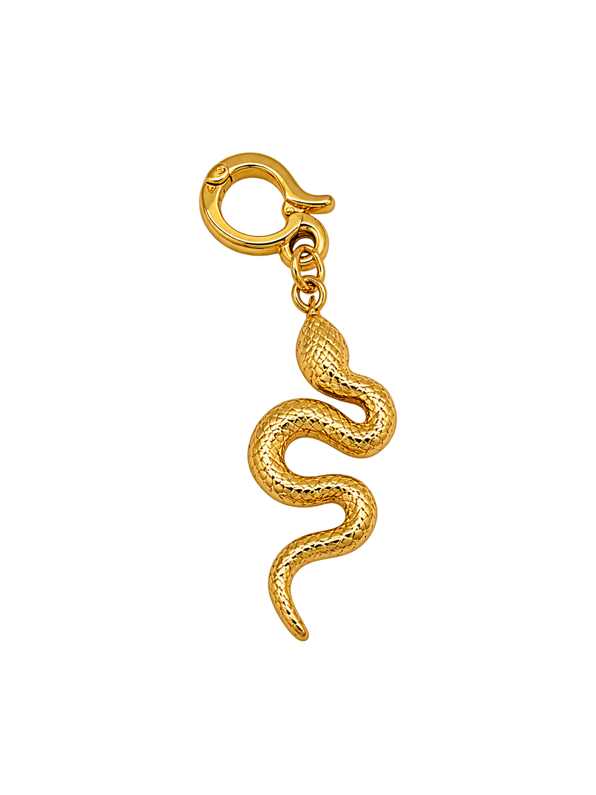 Snakes