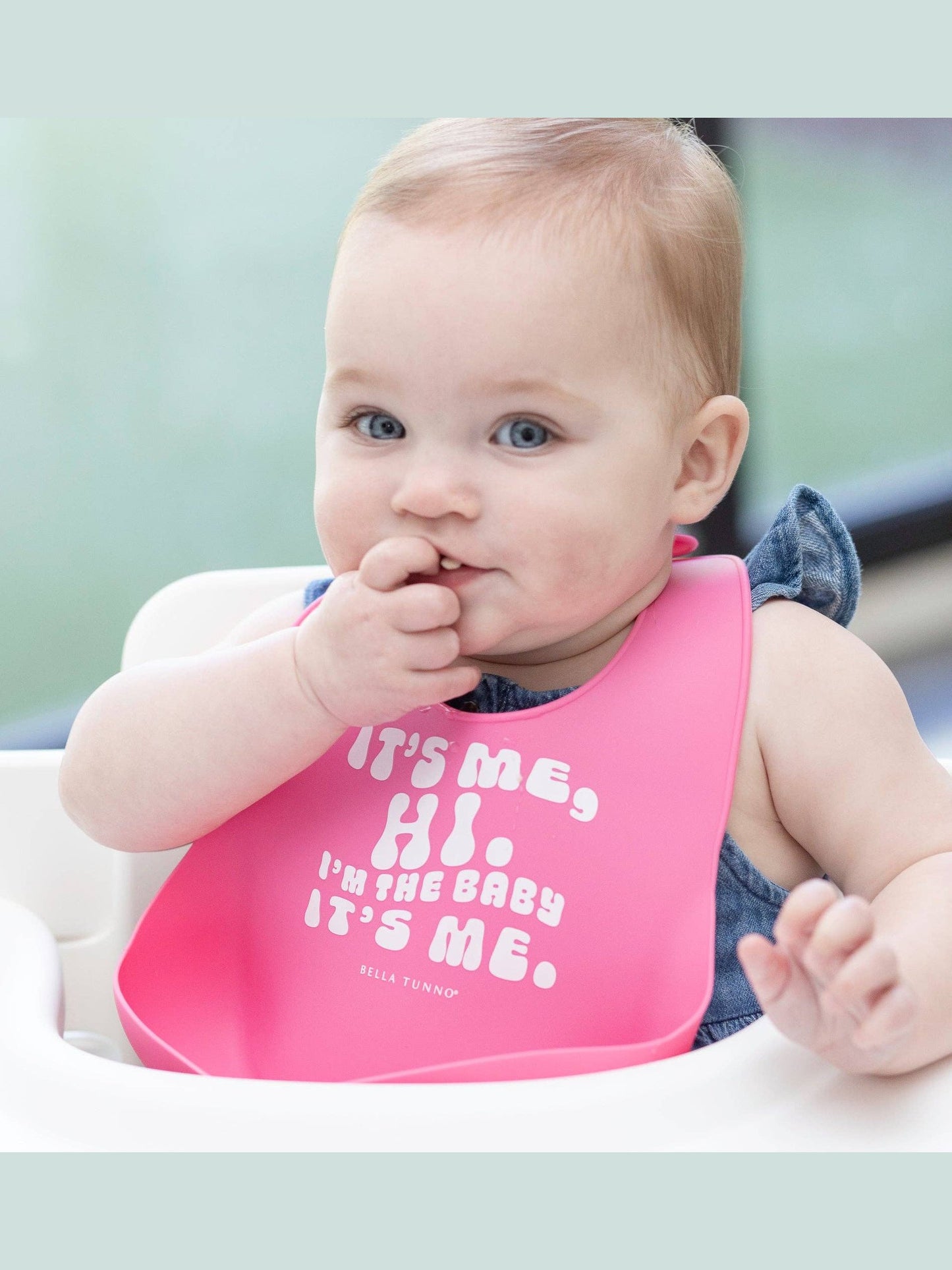 Taylor Swift It's Me Hi Wonder Bib