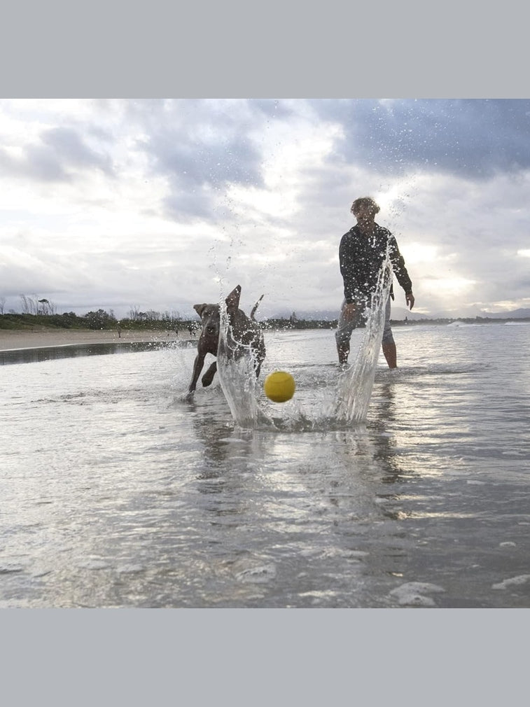Dog Ball