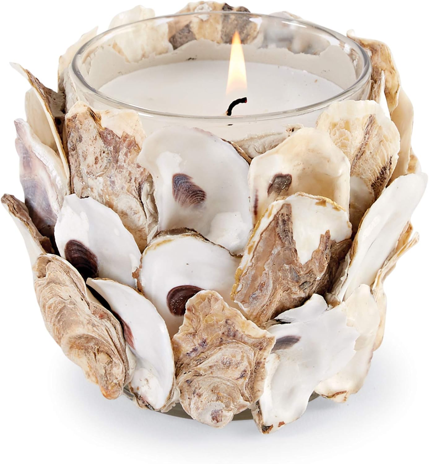 Oyster Shell Filled Candle