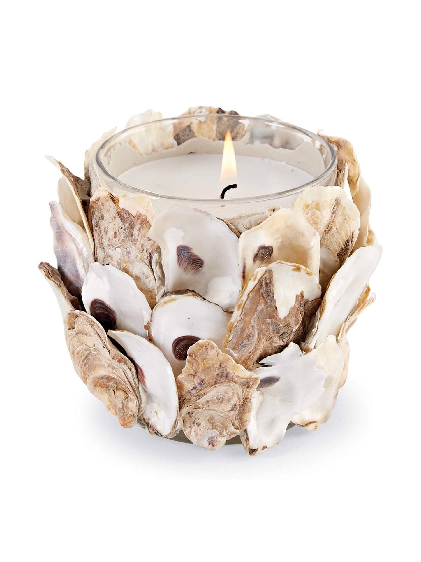 Oyster Shell Filled Candle