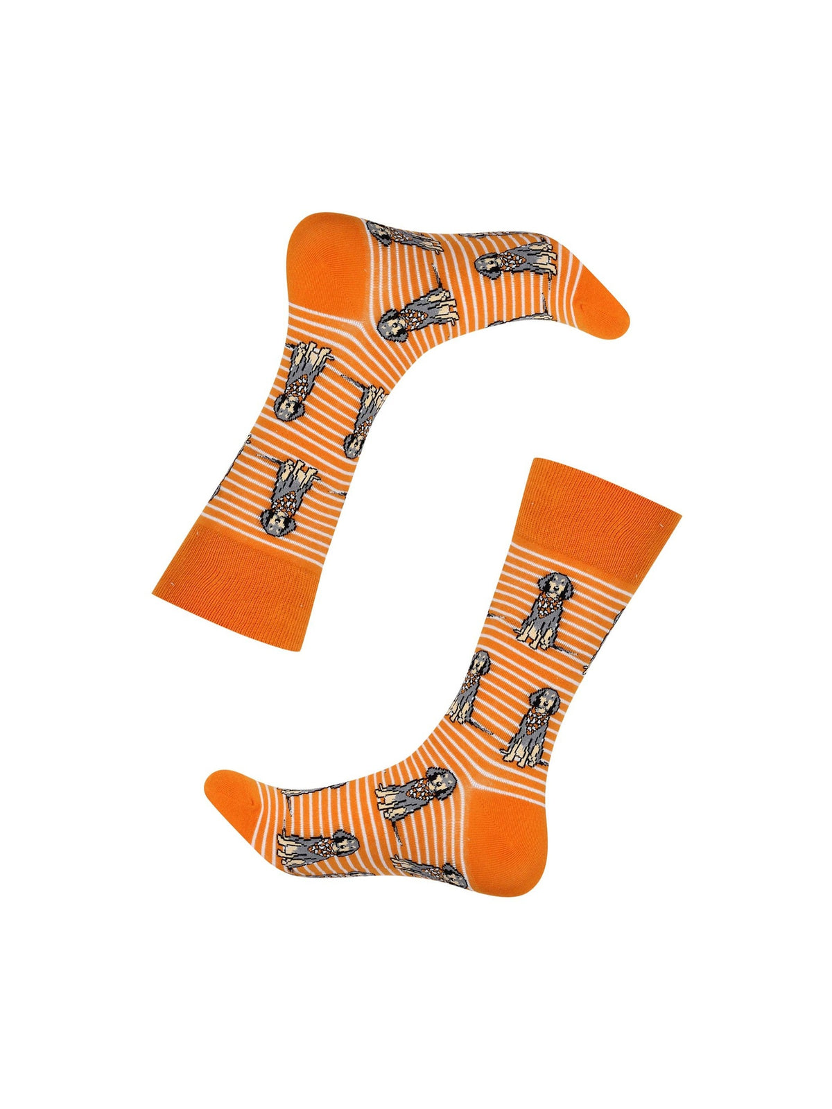 Sitting Bluetick Coonhound Socks