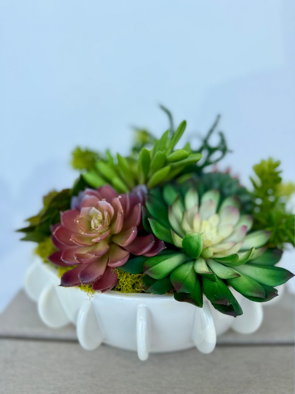 Succulent Garden Party