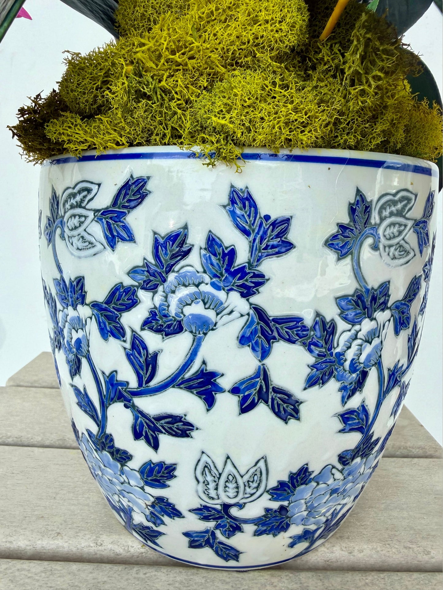 Magenta Orchids in Chinoiserie Pot