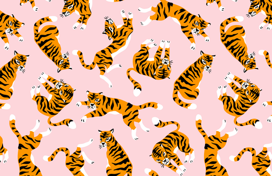 Acrylic Tray CHAMPAGNE THOUGHTS Inserts - Set of 10