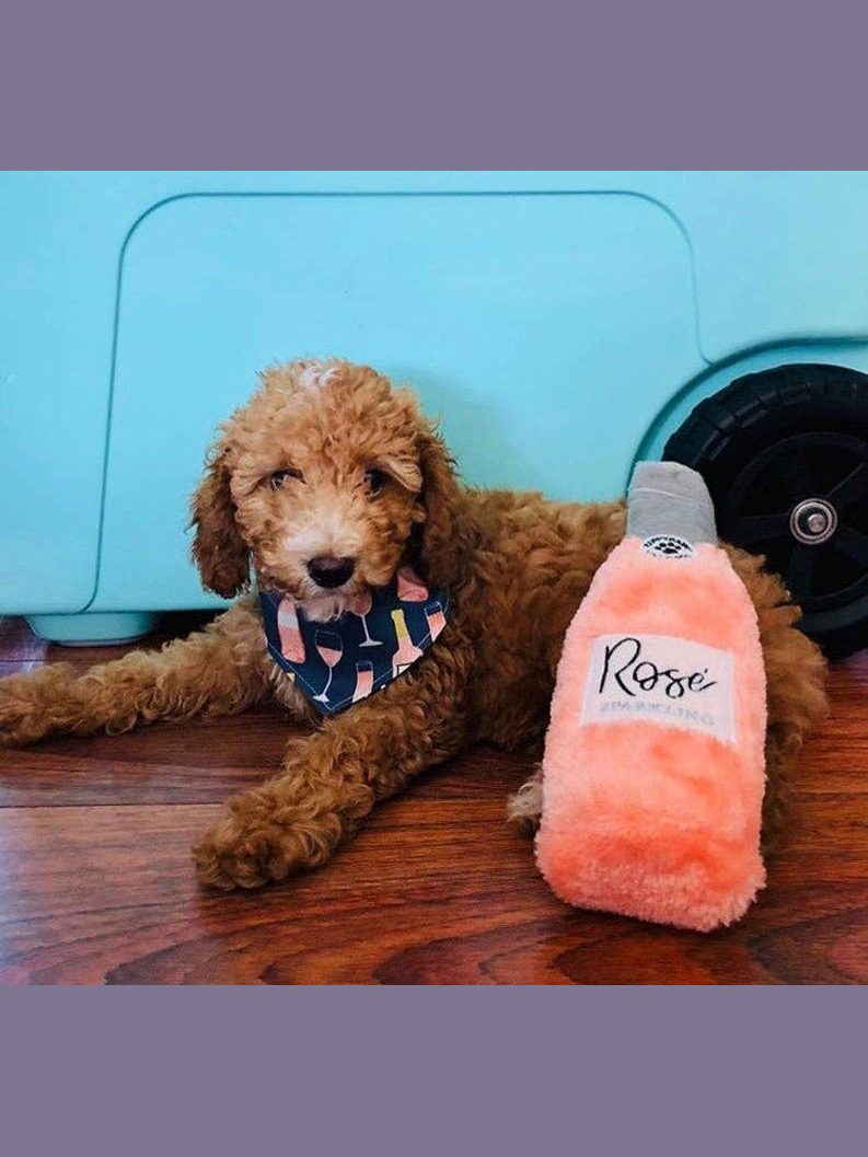 Rose All Day Dog Bandana