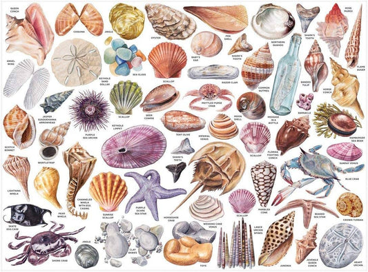 The Beachcomber's Companion 1000 Piece Puzzle With Shaped Pieces,