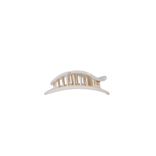 Sand Dollar | Tiny | Flat Shape Hair Clip