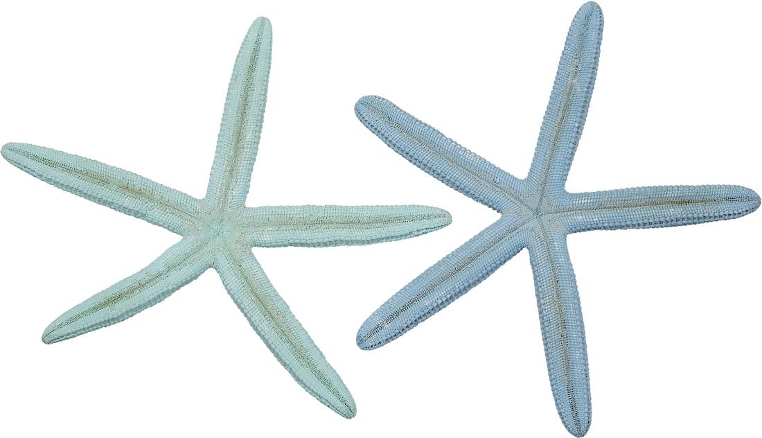 Dyed Pastel Finger Starfish 6-8"