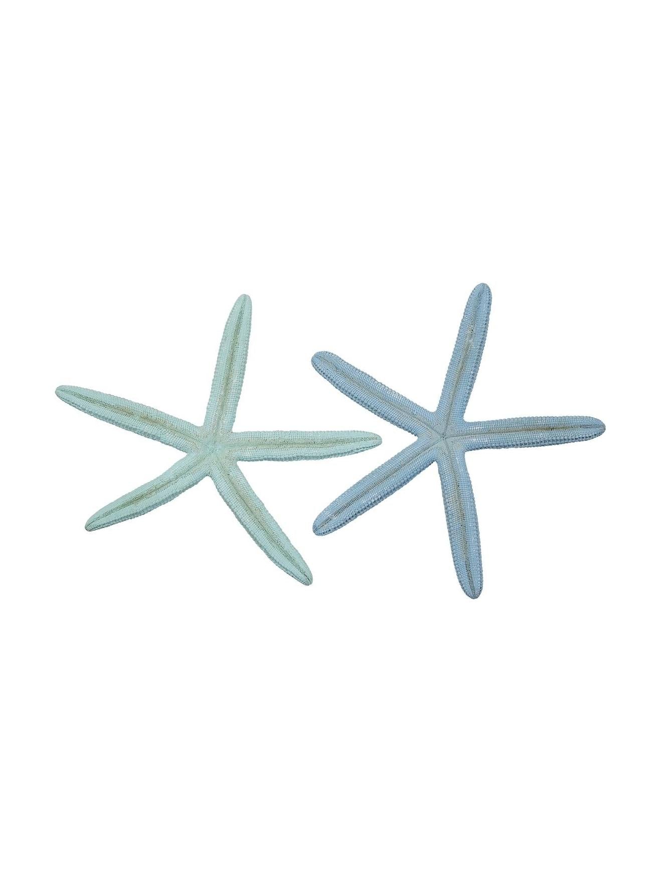 Dyed Pastel Finger Starfish 6-8"
