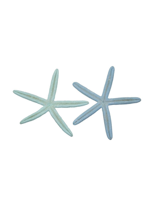 Dyed Pastel Finger Starfish 6-8"