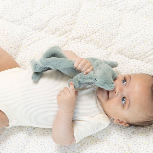 Pacifier Buddy Freddie the Frog