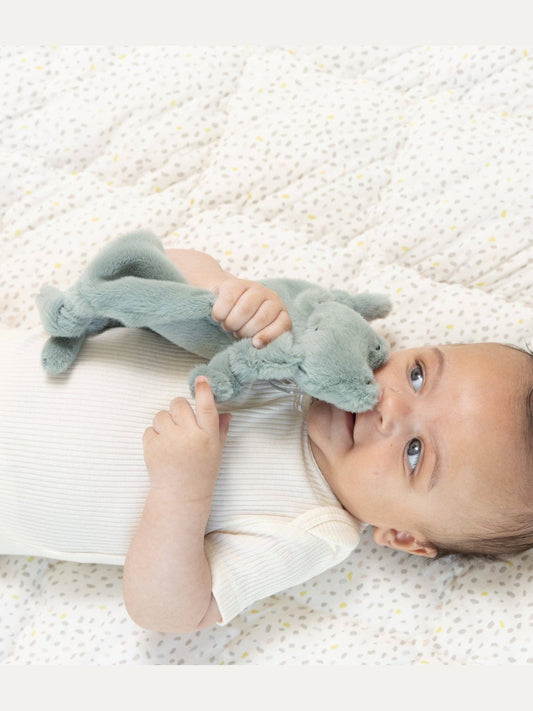 Pacifier Buddy Freddie the Frog
