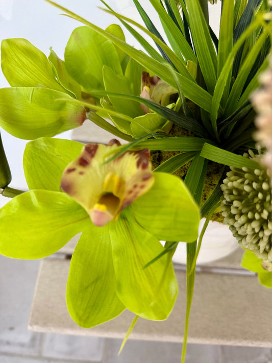 Cymbidium Orchids with Allium blooms