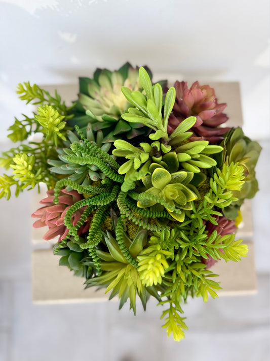 Succulent Garden Party