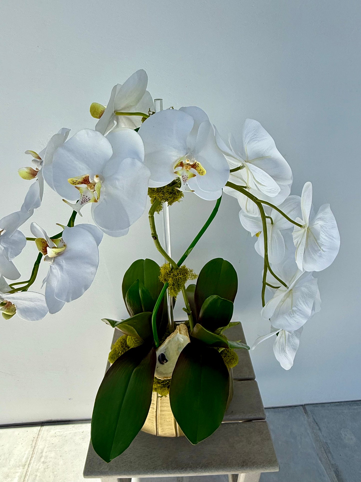 Double White Orchid in Gold Boat