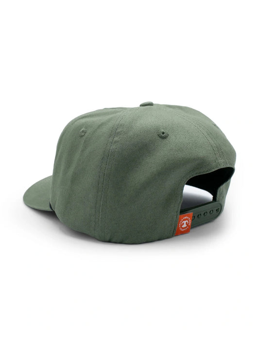 Sage Bird Dog Hat