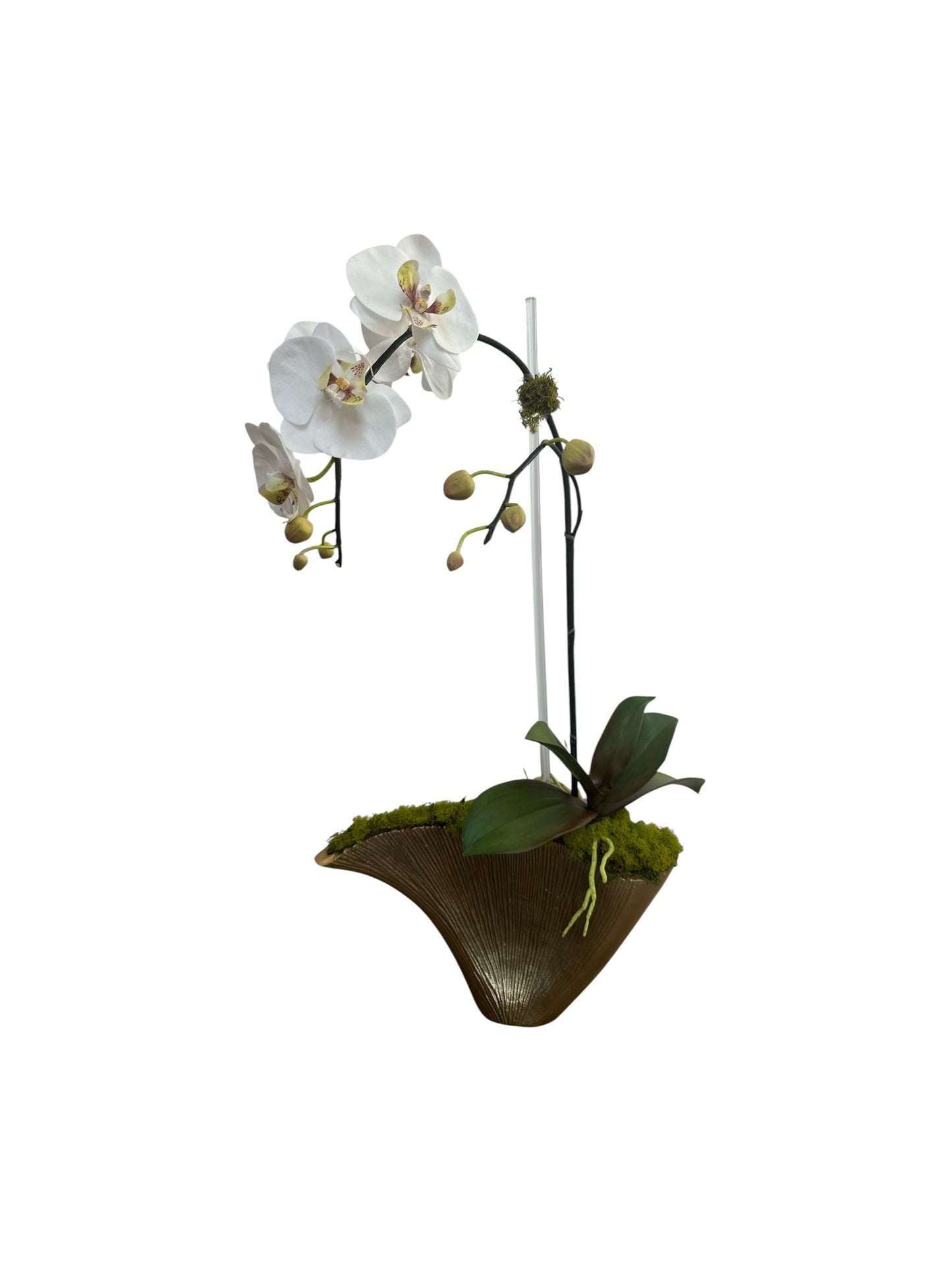 Single White Orchids in Gold Planter