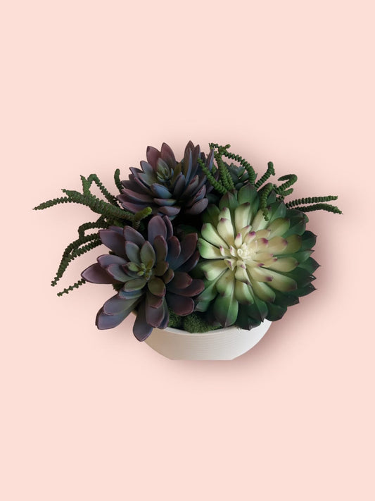Bowl of Succulents