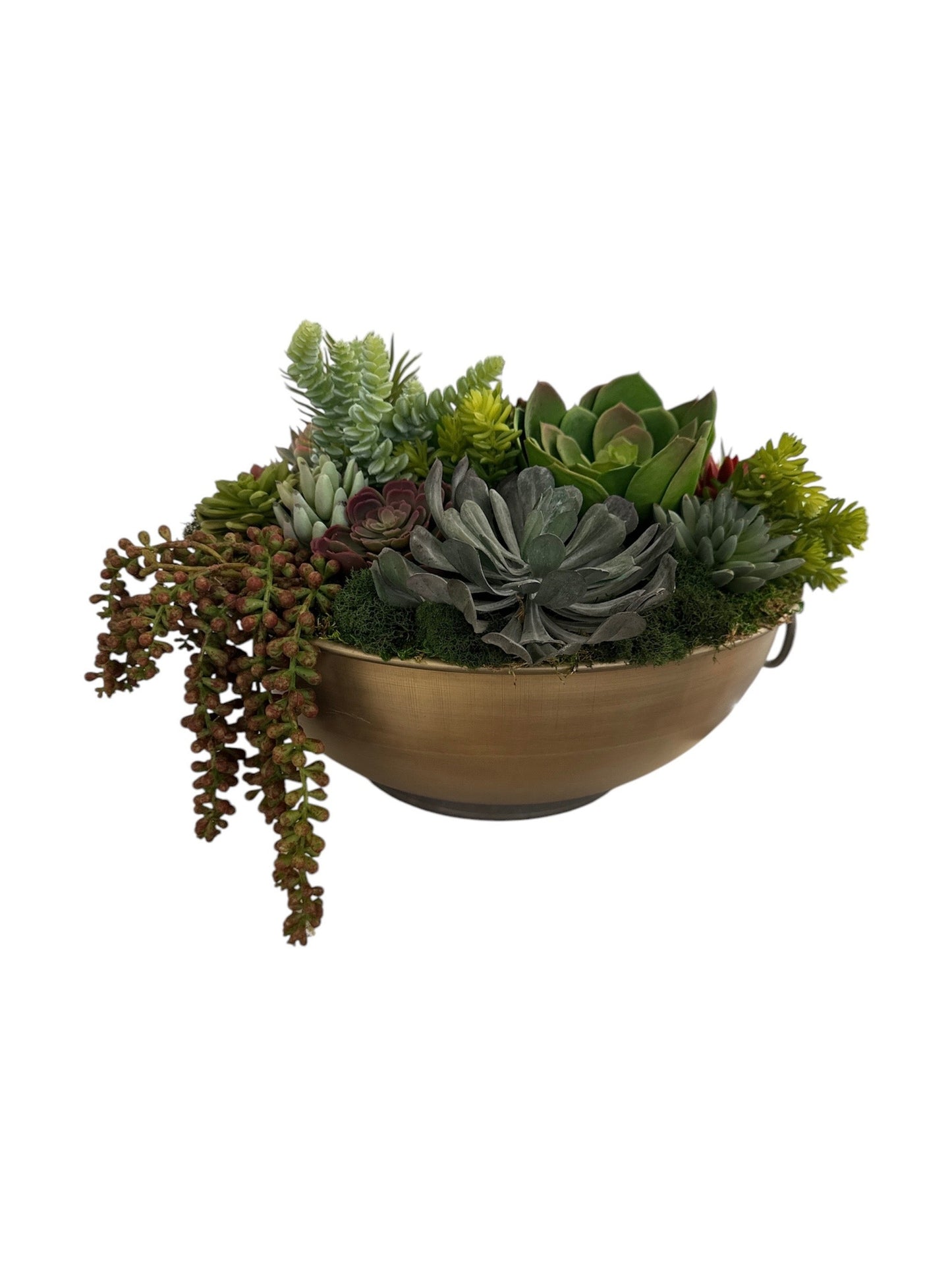 Succulents in Hammered Gold Bowl