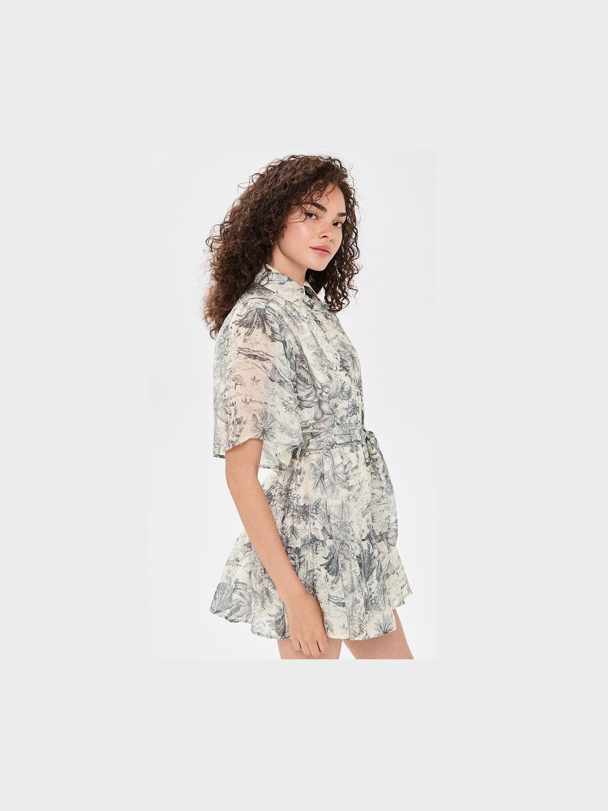 Holley Toile Mini Dress