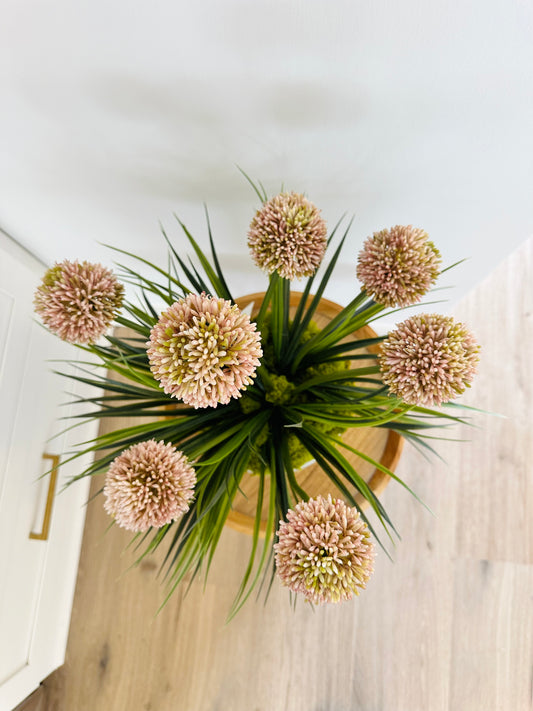 Allium Arrangement - Pink & Green Stems in Elegant Planter
