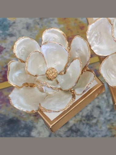 Oyster Magnolia Art - Medium