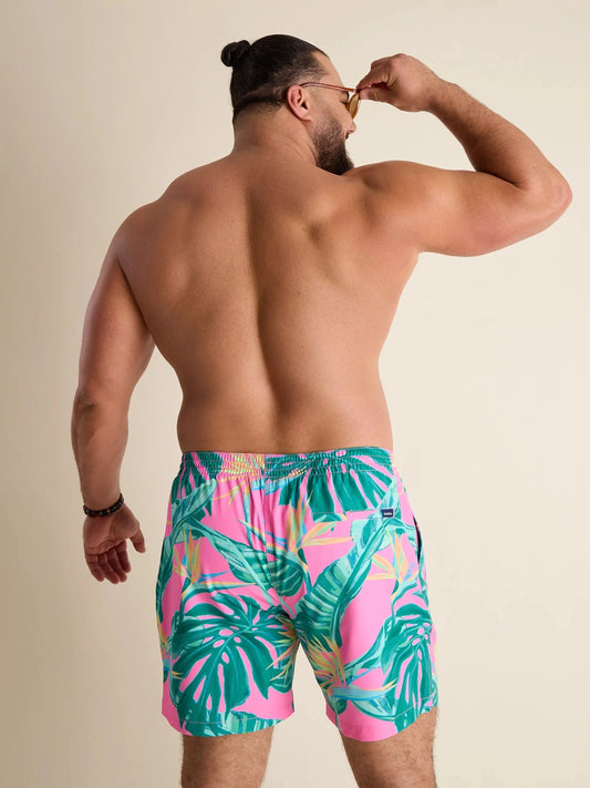 Birds of Paradise 5.5" ( Compression Lined)