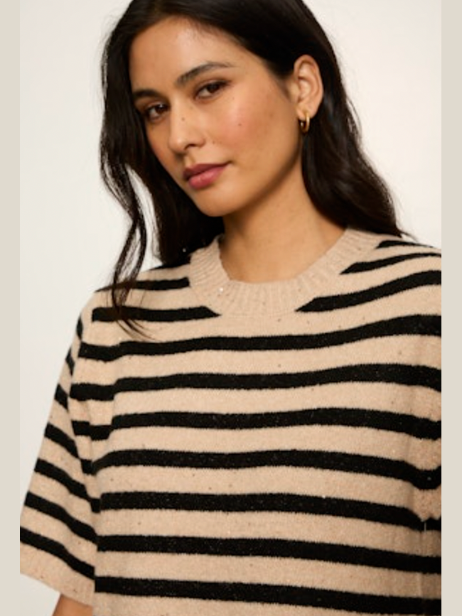 Perfect Sequin Sweater Tee - Hazelnut/Black Stripe