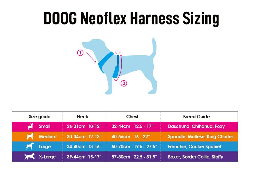 Neoflex Soft Harness BEETHOVEN Neon | Buy Now