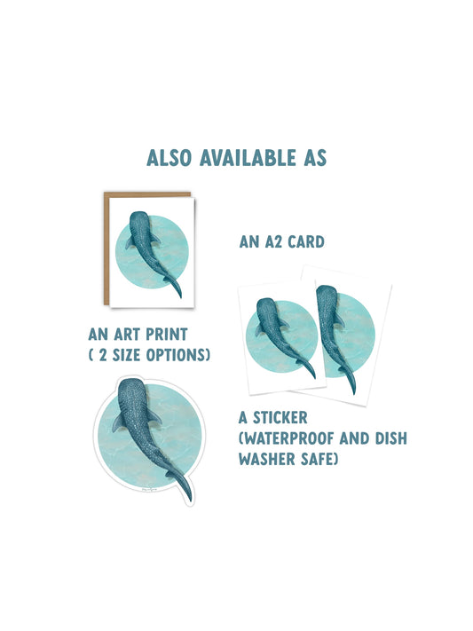 Whale Shark Sticker, Ocean Sticker, Shark Sticker