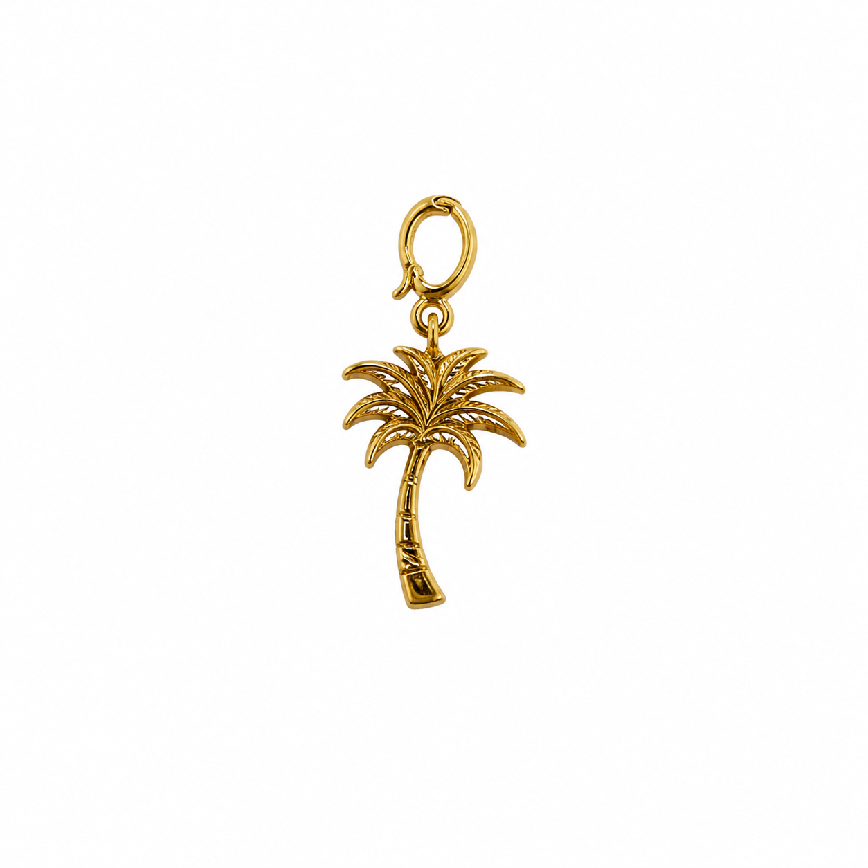 Palm Tree