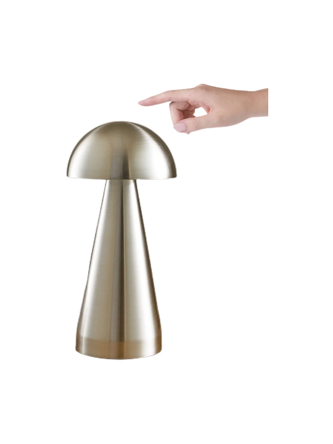 Charming Mushroom LED Lamp/ Night Light -Retail Pack