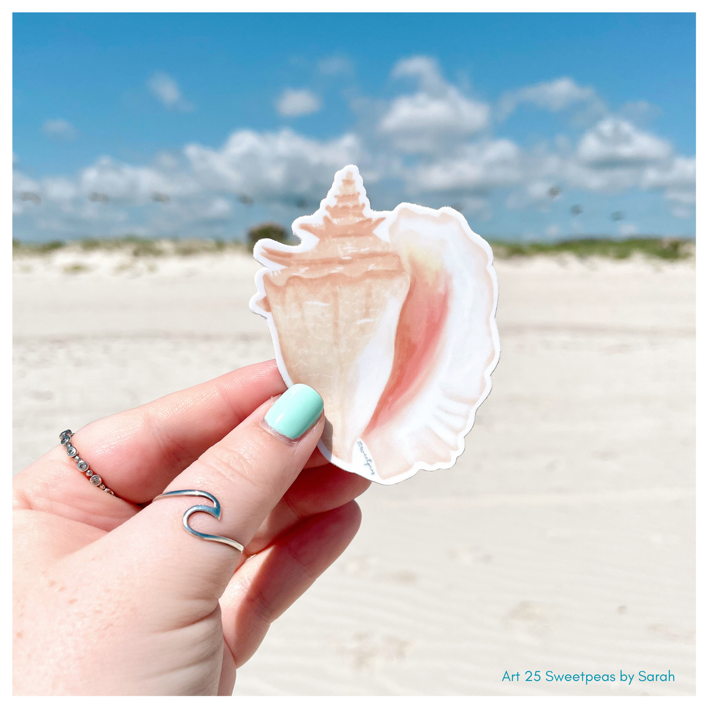 Queen Conch Shell Sticker, Beach Sticker